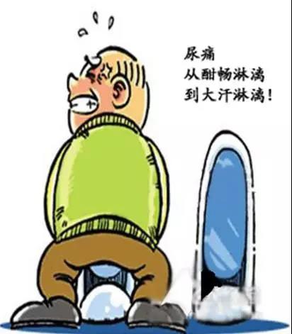 前列腺 (2).jpg