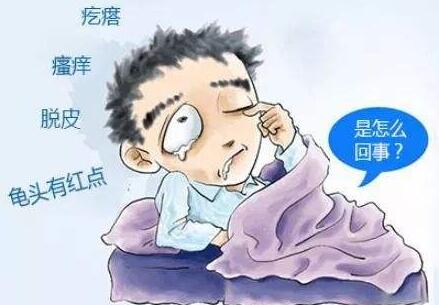 龟头炎 (4).jpg